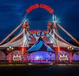 Zirkus Charles Knie Tickets in Münster, Hamm, Hagen, Aachen, Aschaffenburg, Karlsruhe (diverse Termine 2024) für 19,80€ (statt 32€)