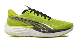 Puma Laufschuhe 380080 01 Grün für 74,39€ inkl. Versand (statt 93€)