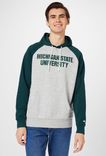 Champion Herren Kapuzenpullover im College Stil in hellgrau für 25,80€ inkl. Versand (statt 40€) 
