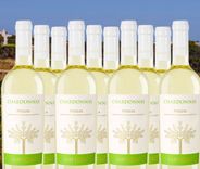 10 Flaschen Chardonnay Puglia IGP Santoro (2023) für 39,90€ inkl. Versand (statt 67€)