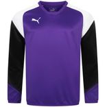 SportSpar: Restgrößen-Sale mit bis zu 97% Rabatt - z.B. Puma Esito 4 Herren Trainings Sweatshirt für 3,70€ (statt 15€)