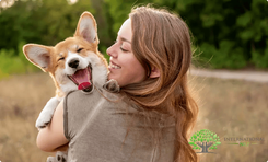 Online-Kurs für Tier-Naturheilkunde inkl. Teilnahmezertifikat bei International NLP für 44,10€ (statt 100€)