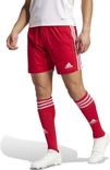adidas Squadra 21 Herren Shorts für 9,94€ inkl. Versand (statt 17€) - Gr. S & 2XL!