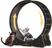 Homegroove Katzenlaufrad (113cm) für 121,99€ inkl. Versand (statt 150€)