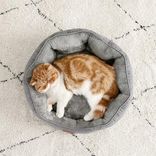 Bedsure Katzenbett waschbar (51x48x15cm) mit zweiseitig Innenkissen, für Katzen oder kleine Hunde in Grau für 9,99€ inkl. Prime Versand (statt 20€)

