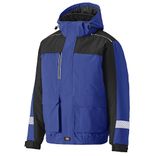 Dickies Waterproof 10000mm 5000g/m² Herren Winterjacke für 34,94€ inkl. Versand (statt 50€)