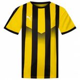 Puma Liga Striped Kinder Trikot für 11,94€ inkl. Versand (statt 21€)
