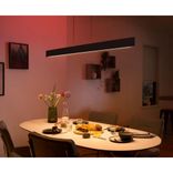 Philips Hue Pendelleuchte Ensis White & Color für 305,20€ inkl. Versand (statt 337€)