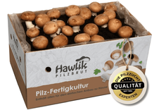 Hawlik Pilzbrut: Champignons selber züchten – Steinchampignon Pilzzuchtset XXL für 22,01€ inkl. Prime Versand (statt 26€)