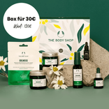 Glossybox x The Body Shop Limited Edition Mai 2023 für 28€ inkl. Versand (statt 45€)