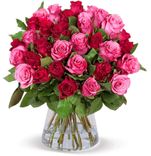 44 rot-pinke Rosen im Strauß "Gruß & Kuss" für 27,98€ inkl. Versand (statt 50€)