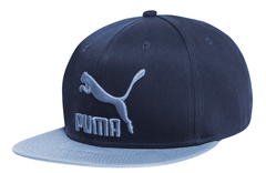 Puma Colour Block Kappe in Blau für 16,94€ inkl. Versand (statt 20€)