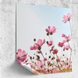 Bilder.de: Poster mit eigenem Motiv mit 60% Rabatt -z.B. 150x50cm für 18,35€ inkl. Versand (statt 34€)