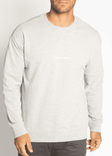 Calvin Klein Sweatshirt in Grau für 30,56€ inkl. Versand (statt 55€)