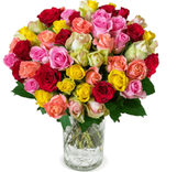 BlumeIdeal: 47 bunte Rosen für 26,98€ inkl. Versand (statt 40€)