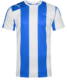 Puma Striped Herren Trikot für 5,99€ zzgl. 3,95€ Versand (statt 15€)
