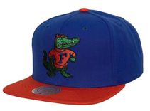 Mitchell and Ness NCAA Florida Gators Team 2 Tone 2.0 Snapback Cap für 21,89€ inkl. Versand (statt 28€)
