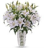 10 weiße Lilien mit 3-4 Blüten pro Stiel für 20,98€ inkl. Versand (statt 25€)