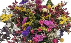 Groupon: Flora Trans Wertgutscheine für das Trockenstrauß-Sortiment, z.B. 40€ Wertgutschein für 18,75€