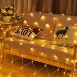 Jopassy Lichternetze reduziert, z.B. warmweiß 3 x 2m für 15,39€ inkl. Versand (statt 22€)